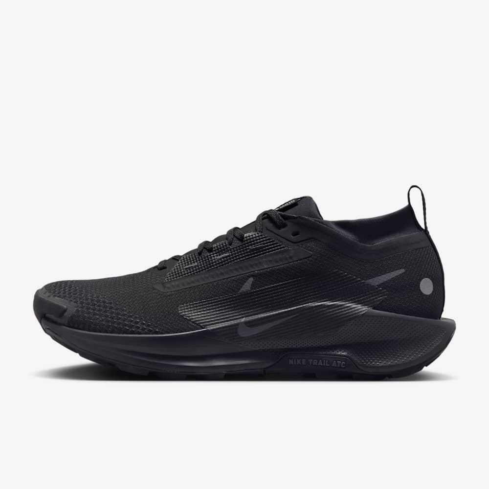 Giày Nike Pegasus Trail 5 GORE-TEX Nam - Đen